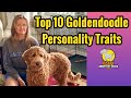 Goldendoodle Personalities and traits / Owning a Goldendoodle