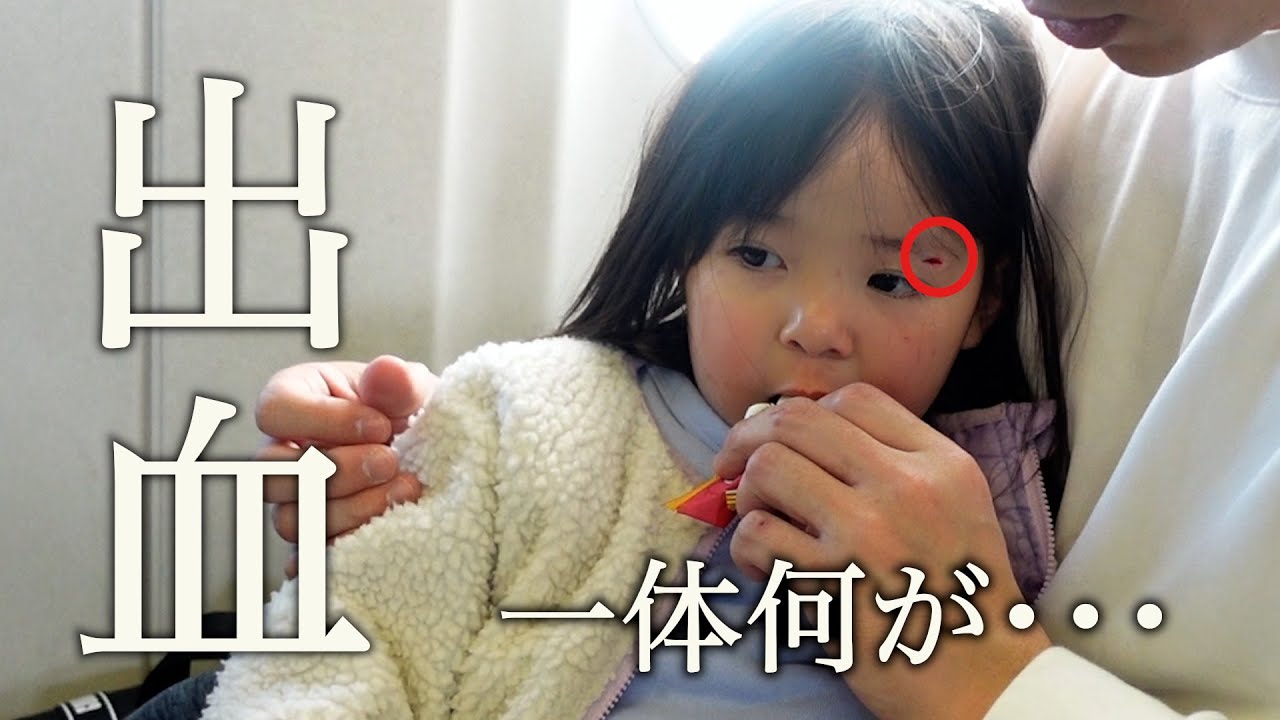 三女が移動中に大怪我・・・急遽病院に行きました