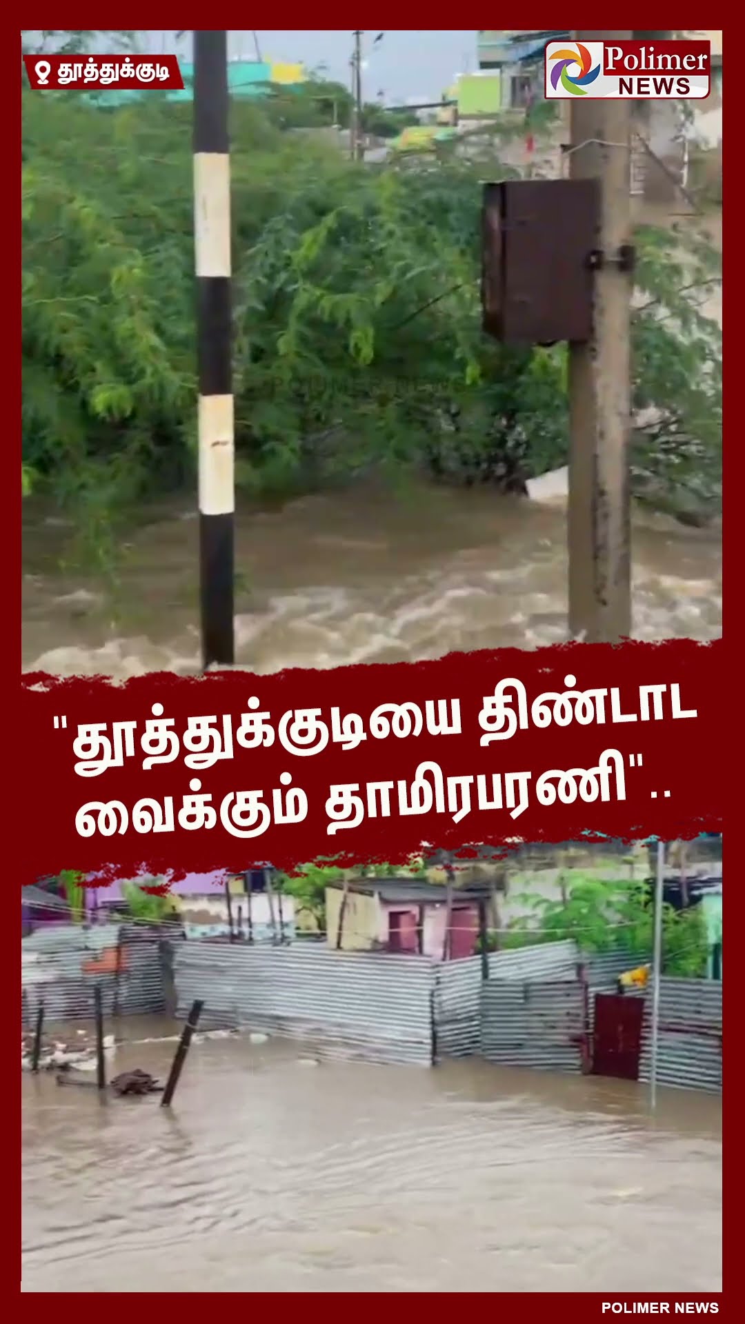 தூத்துக்குடியை திண்டாட வைக்கும் தாமிரபரணி..#shorts