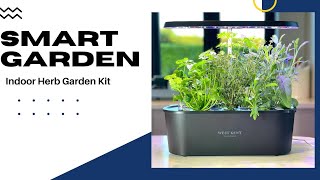 Amazon Com Click Grow Indoor Herb Garden Kit With Grow Light Smart Garden For Home Kitchen Wind