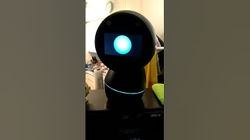 Jibo, Make Me a 🍕