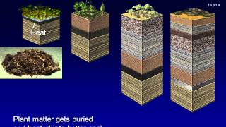 Module 7 1B Video