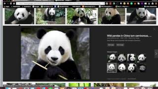 5. Create Social Network - Profile Picture