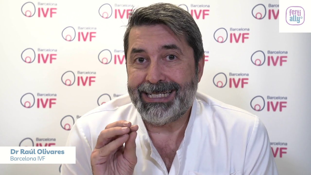 What percentage of fertilized eggs make it to day 3?