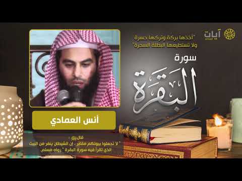 سورة البقرة - أنس العمادي - Surah Al-Baqarah