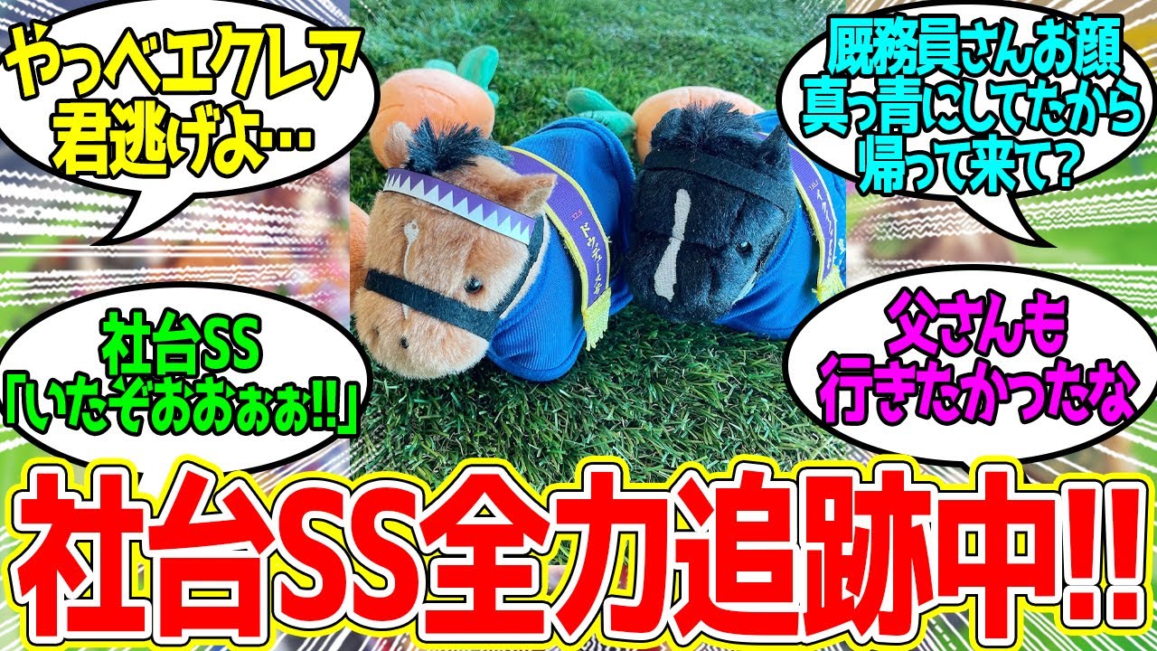 「ぼくたちこっそり抜け出して夏祭り行っちゃったけど大丈夫なんですー？」に対するみんなの反応！【競馬 の反応集】