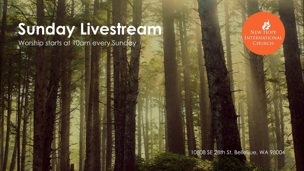 New Hope International Church Live Stream