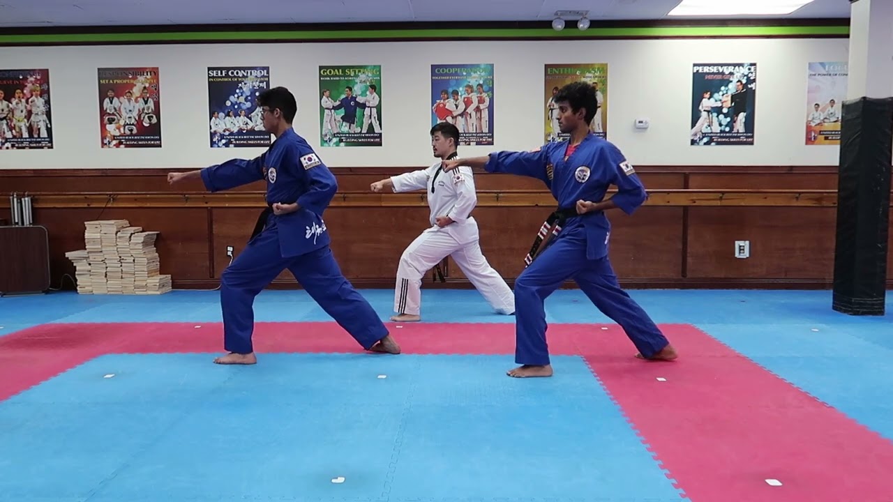 Taegeuk 8 New Tutorial (Jr. Black and Special Belt Main Form)