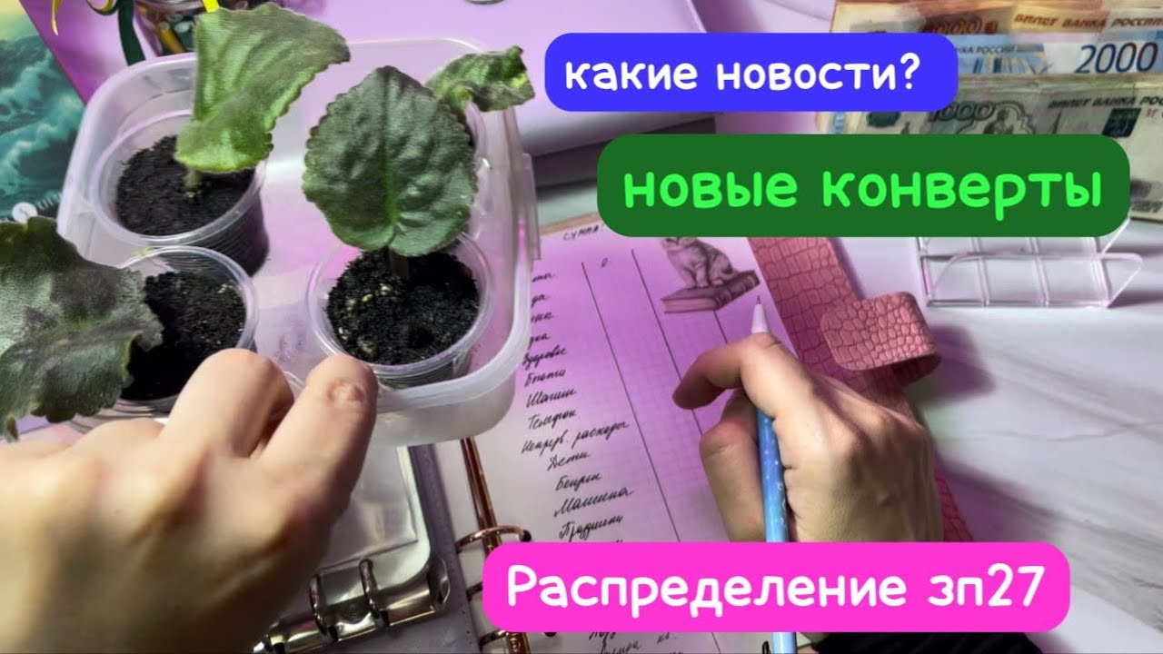 Распределение зп27💰 новые конверты 💌 большие траты 🥺
