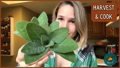 TWO WAYS TO COOK SAGE: How to Use Your Garden Sage...