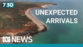 Dozens of men arrive unexpectedly by boat in tiny WA town | 7.30