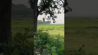 Most Beautiful Village Green View
