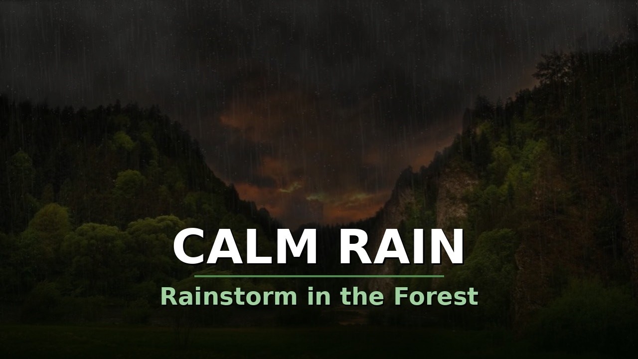 Rainstorm in the Forest | Gentle Rain Sounds for Deep Sleep & Relaxation | Black Screen