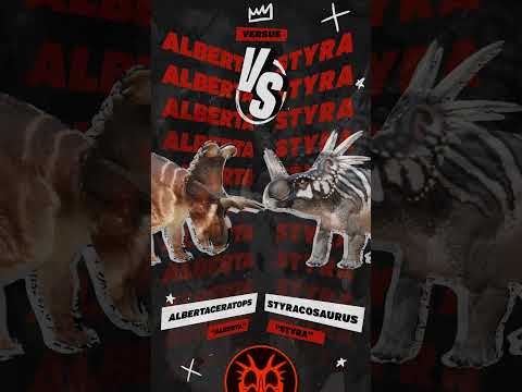 Alberta Vs Styra Who Do You Think Has The Edge Shorts 