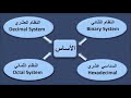 أساس النظام العشري   