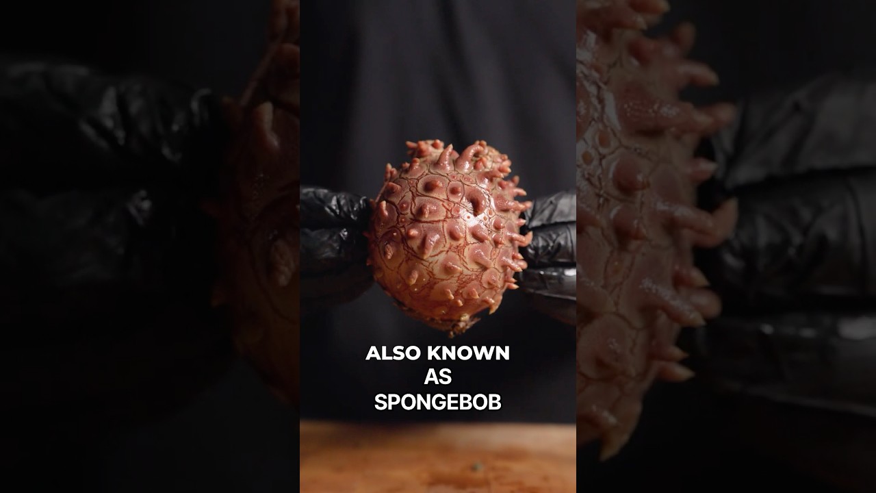 I Cooked SpongeBob