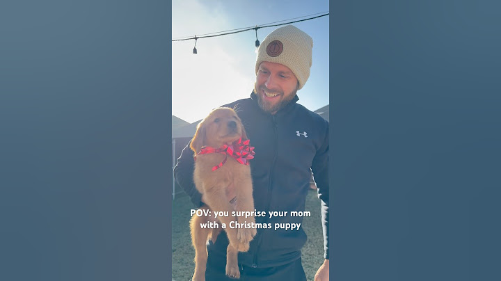 POV: you surprise your mom with a puppy for Christmas #goldenretriever #christmas #puppy #dogs #fyp