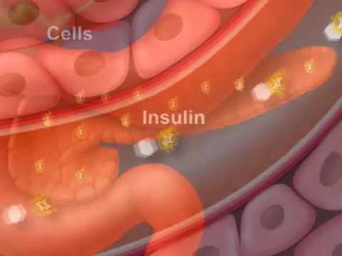 How diabetes affects your blood sugar