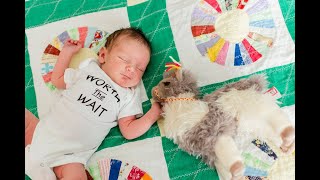 Our Journey to Ezra - Domestic Infant Adoption