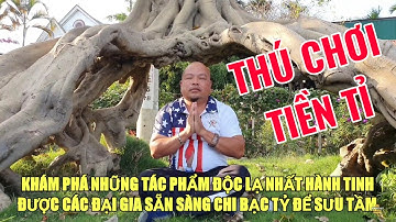 Khám phá Thế giới hàng ĐỘC LẠ nhất hành tinh (cây khế cổ 700 tuổi khách trả 10 tỷ chưa bán)