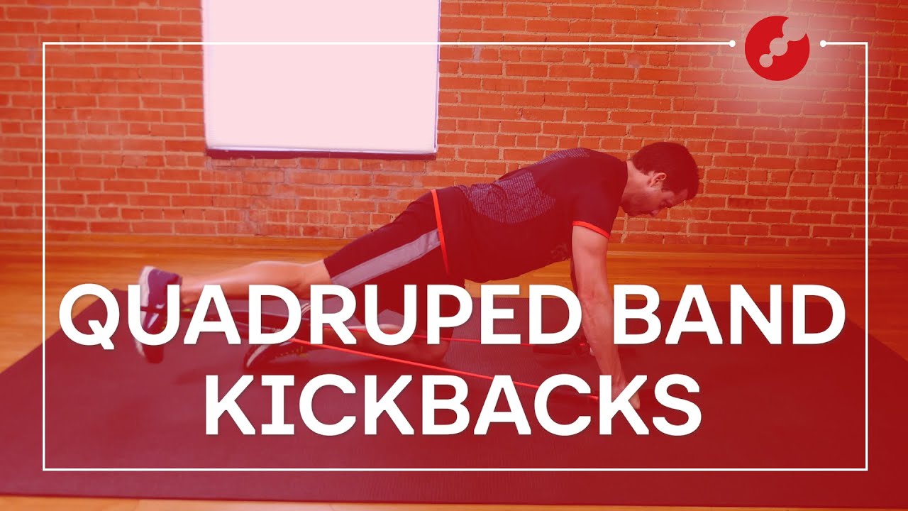 Quadruped Band Kickbacks // TriDot Strength Drill Series YouTube