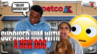SURPRISING MY BOYFRIEND WITH ANOTHER DOG (BAD IDEA)