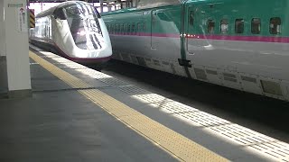 E3 series + E5 series Tohoku-Shinkansen JR East Morioka station 00685