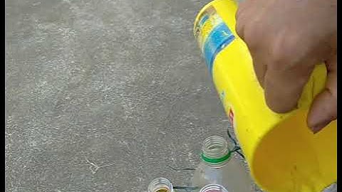 cách diệt ruồi vàng ( ong vàng) hiệu quả