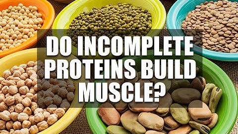 Do Incomplete Proteins Build Muscle & Should You Count Them?