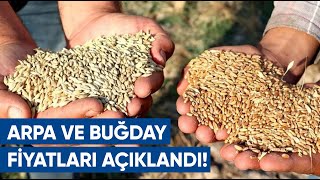 Buğday Ve Arpa Fiyatları Açıklandı Çiftçiden Fiyat Açıklaması Agro Tv Haber