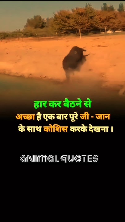 animal-quotes-in-hindi-shayari-hindiquotes-shorts-motivational-viral