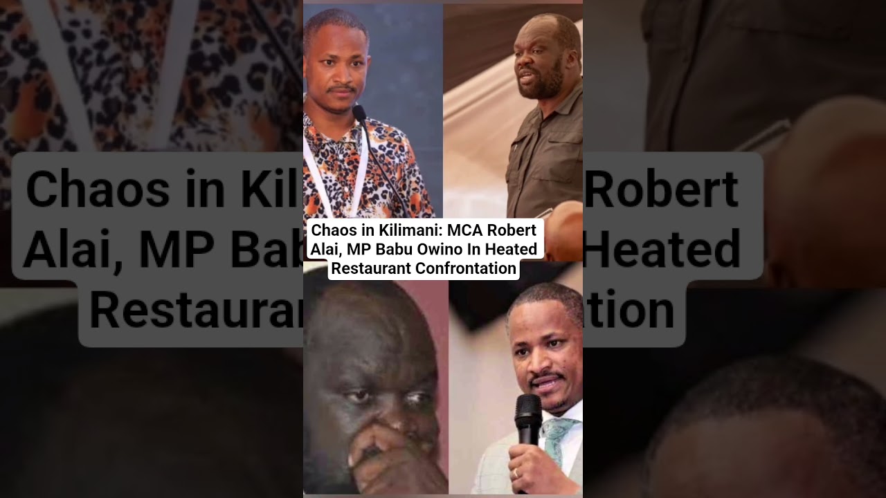 Inside the Kilimani Restaurant Drama Involving Robert Alai and Babu Owino