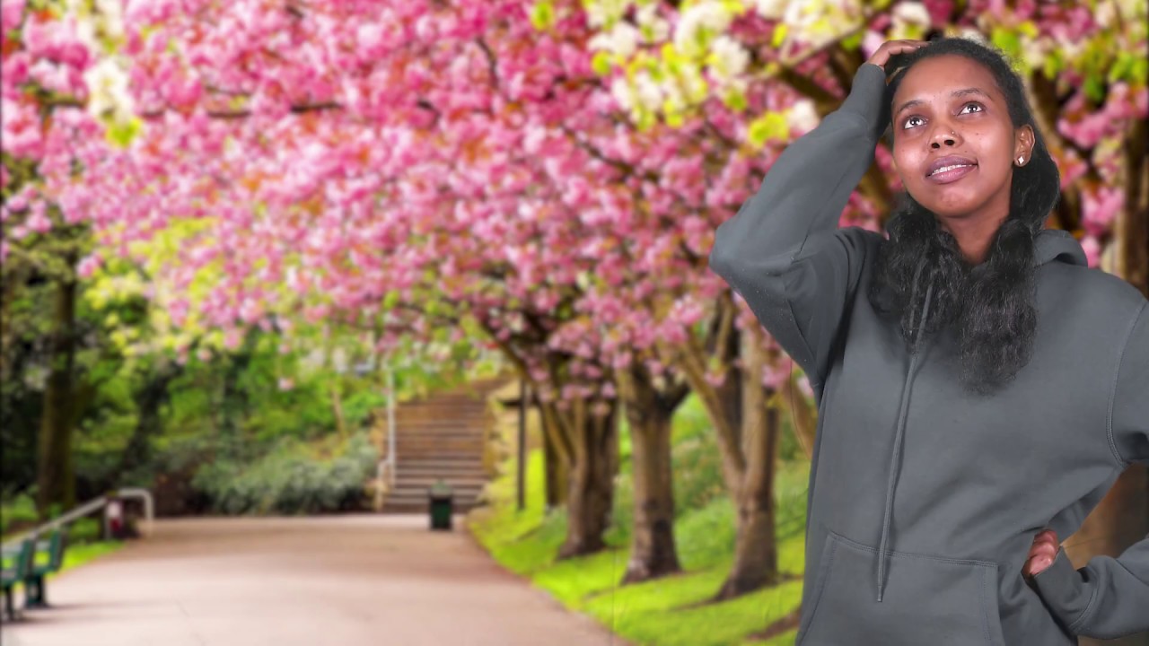 Studio Digital 2018: Gelukkig Gezin - OKAN Groen, KTA Groenkouter