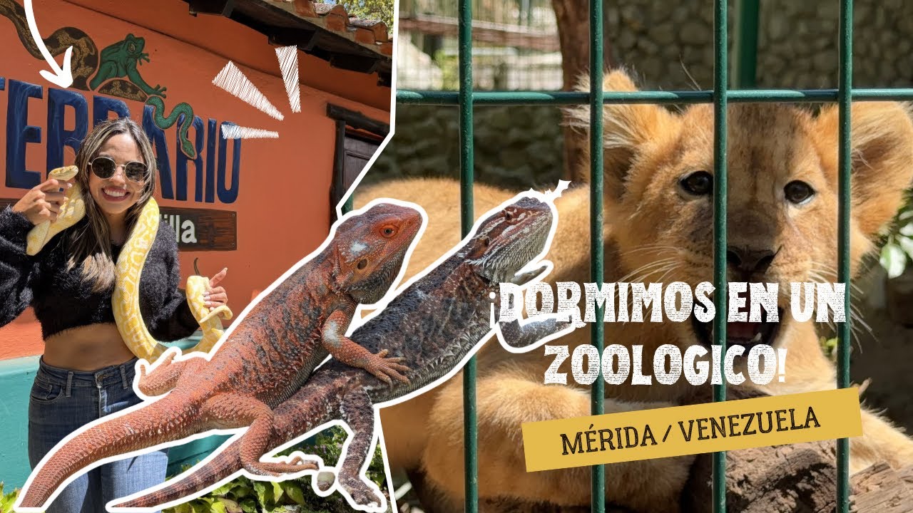 Dormimos en un zoológico en Mérida 
