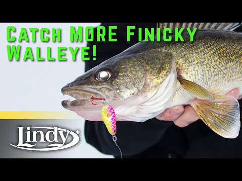 Effective Dead Sticking for Ice Walleyes - Lindy Glow Spoon 