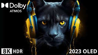 Oled Demo 2023, True Sound Dolby Atmos Sound Design, 8K Hdr 120Fps!