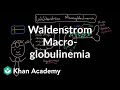 Understanding Waldenstrom Macroglobulinemia