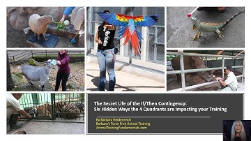 The secret Life of the If/Then Contingency by Barbara Heidenreich