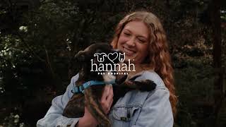 Why Dr. Kirsten Brown Chose Hannah Pet Hospital | A Different Approach to Veterinary Care