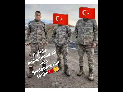 şehid muhammed ali