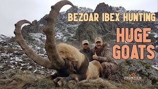 Bezoar Ibex Hunting in Northeast Turkiye #hunting