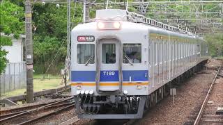 【南海みさき公園駅にて】特急サザンと普通列車