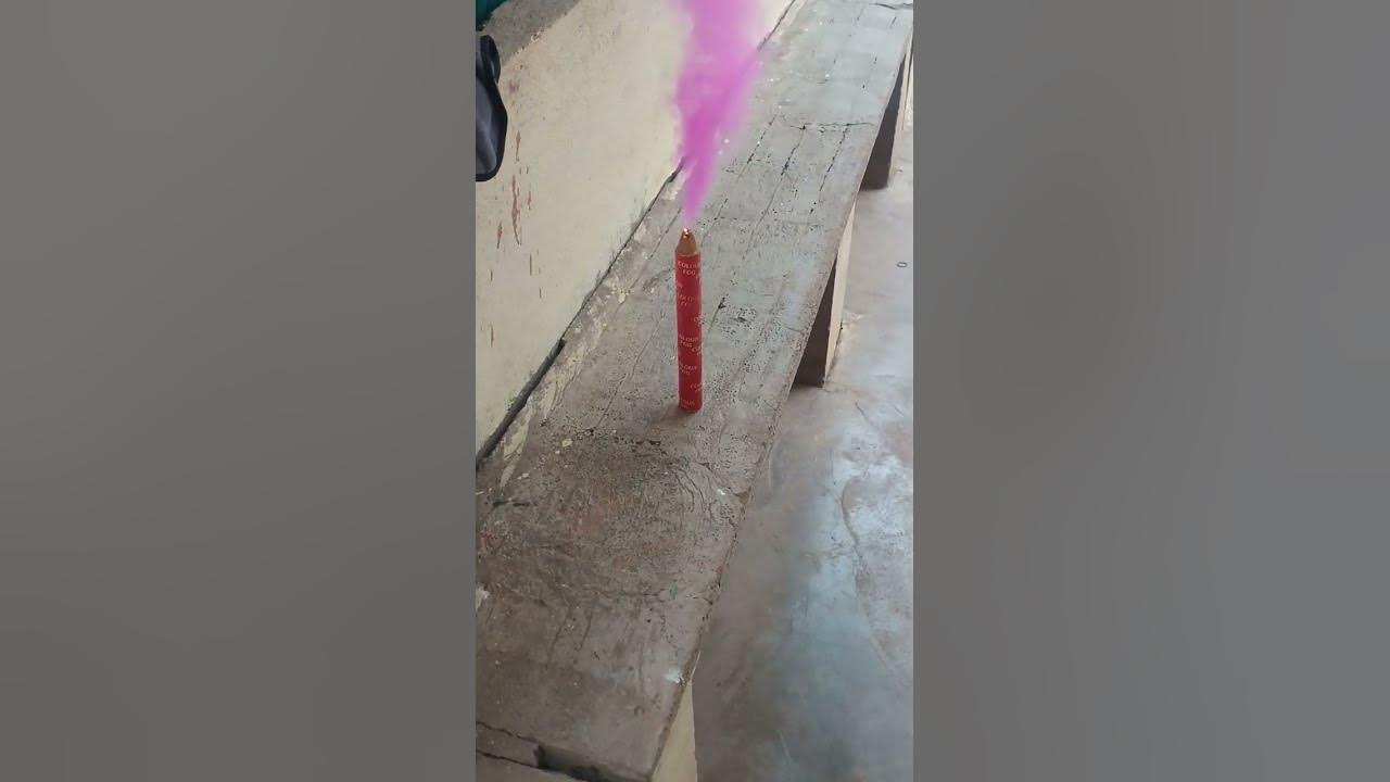 fog holi 2025