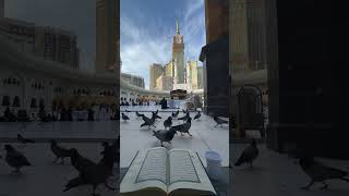 Kaaba ♥️♥️♥️ #shorts #kabe #mekke #medine #hac #umre #ilahi #ravza #makkah #madina