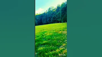غربل غربل يا الغربال اللي طاحوا ماشي رجال عادل الميلودي شورت اكسبلور 