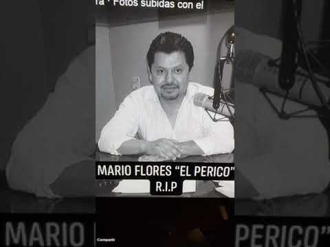 Christafari palabra sonido y poder bajar de peso Christafari palabra sonido y poder bajar de peso