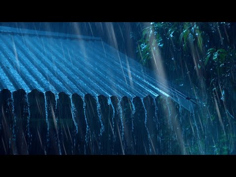Fall into Sleep Immediately with Heavy Rain & Rumbling Thunder on a Tin Roof in the Foggy Forest ⛈️