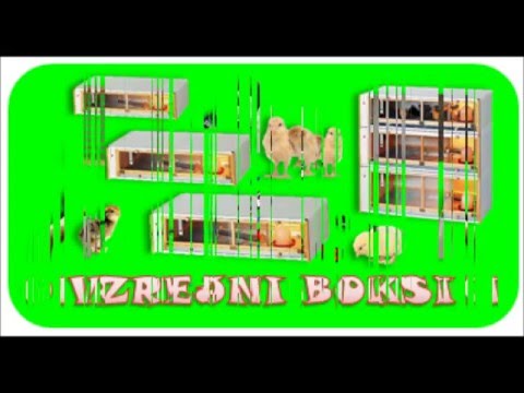 Video: Kako narediti kletke za prepelice z lastnimi rokami?