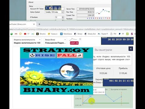 Strategy RISE ▲▼ FALL Binary.com