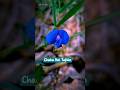 #nature #flowers #sad #love #song